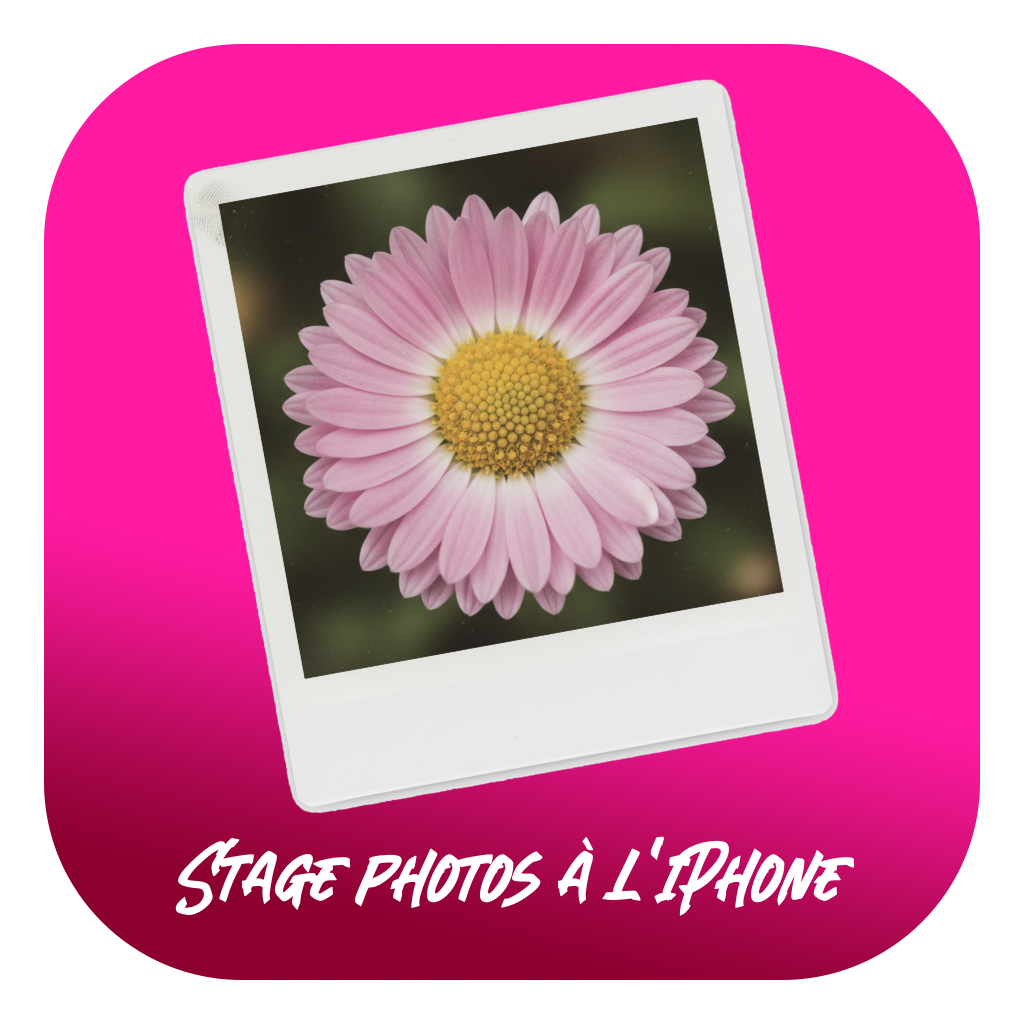 Atelier photo au Jardin des Plantes – Formation présentielle à Toulouse